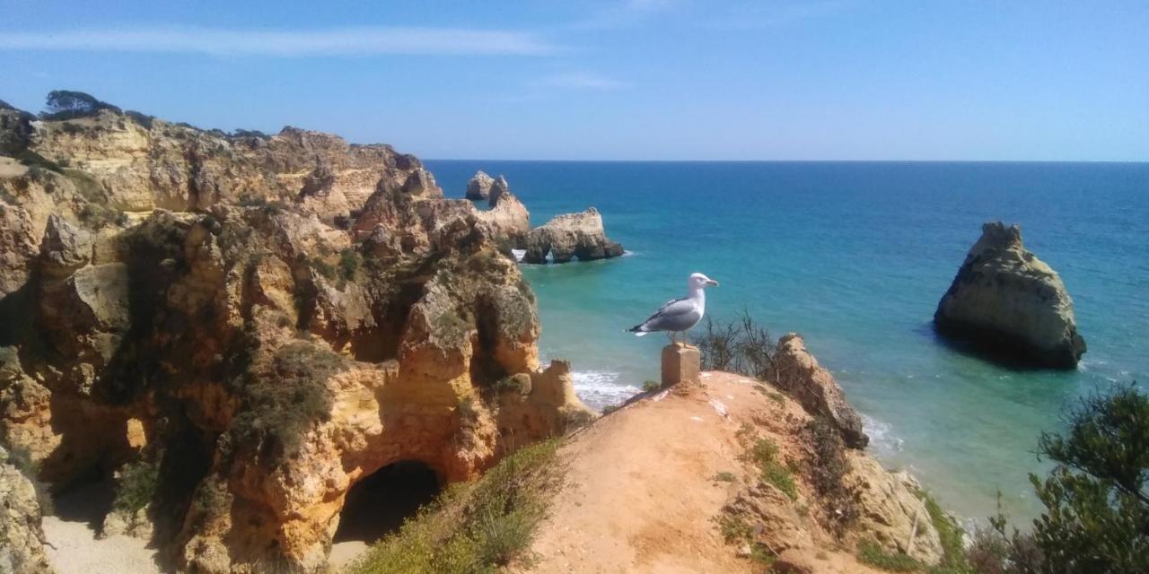 T2 De Luxo Em Albur-Village A 10 Minutos Da Praia A Pe Alvor Luaran gambar